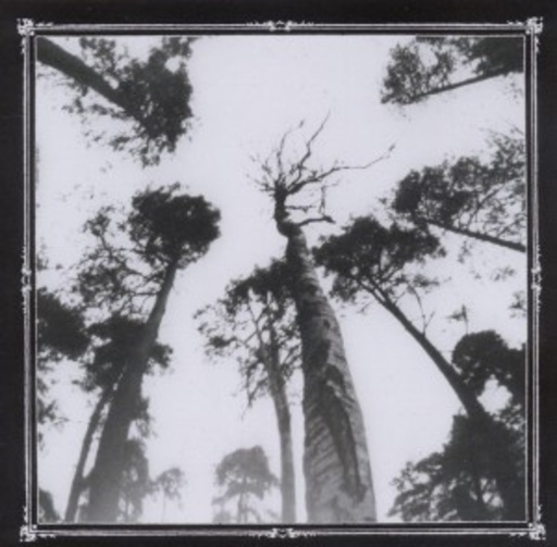 Ancestors Blood – When The Forest Calls