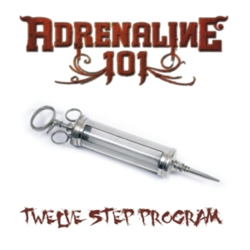 Adrenaline 101 – Twelve Step Program