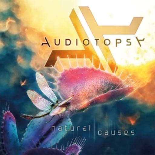 Audiotopsy – Natural Causes