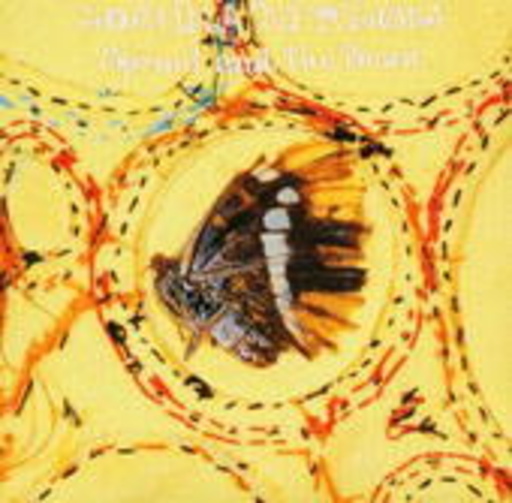Joanna Newsom – Sprout And The Bean/What We Have Known