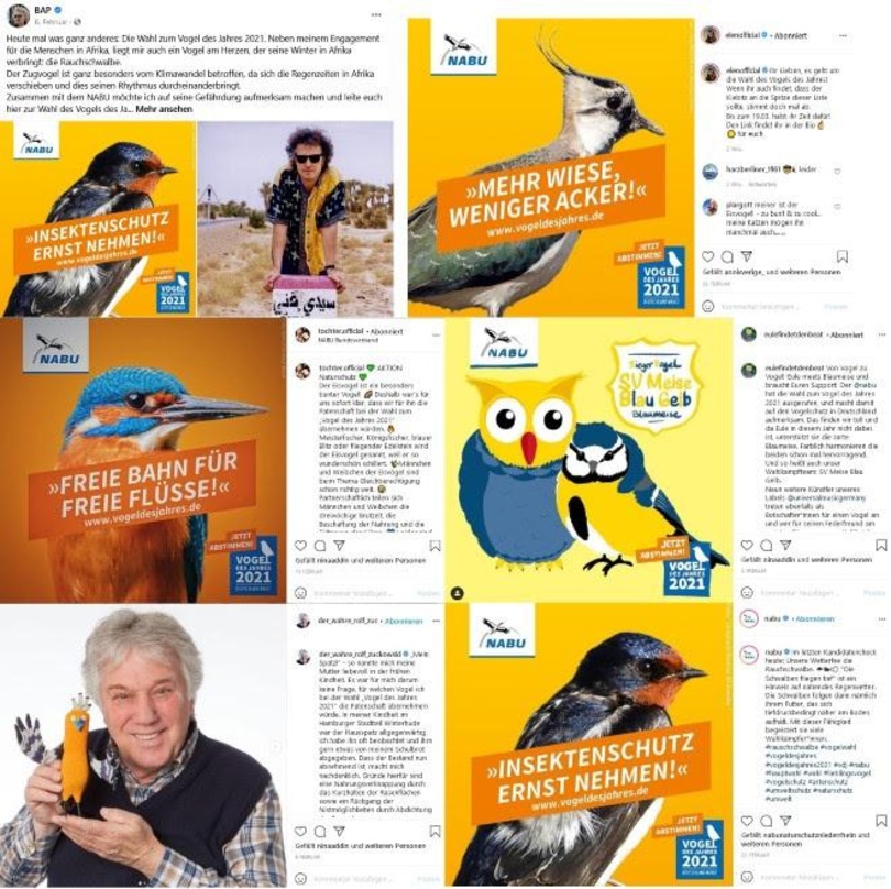 Von prominenten Paten wie Wolfgang Niedecken und Rolf Zuckowski unterstützt: Gefiederte Anwärter als "Vogel des Jahres 2021"