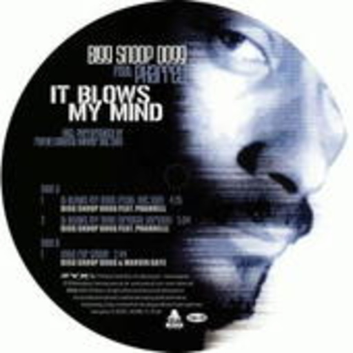 Bigg Snoop Dogg feat. Pharrell – It Blows My Mind