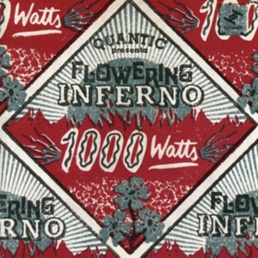 Quantic Presenta Flowering Inferno – 1000 Watts