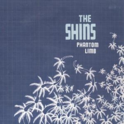 The Shins – Phantom Limb
