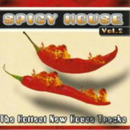 Diverse – Spicy House Vol. 2