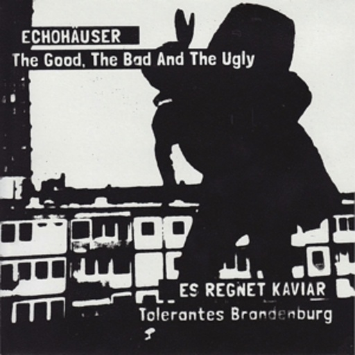 The Good, The Bad & The Ugly – Echohäuser