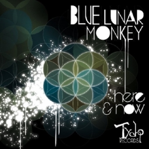 Blue Lunar Monkey – Here & Now