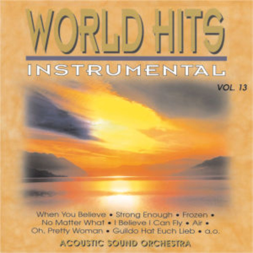 Acoustic Sound Orchestra – World Hits Instrumental Vol. 13