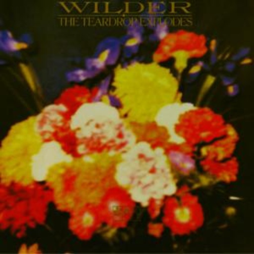 The Teardrop Explodes – Wilder