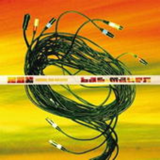 Radikal Dub Kolektiv – Bass Matters