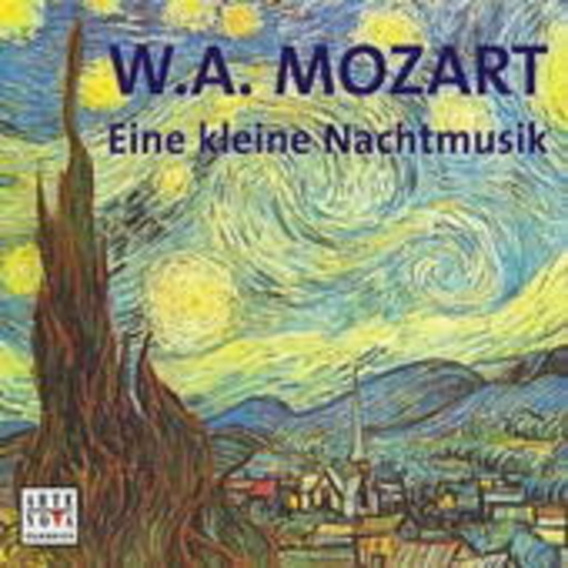 Eine kleine Nachtmusik