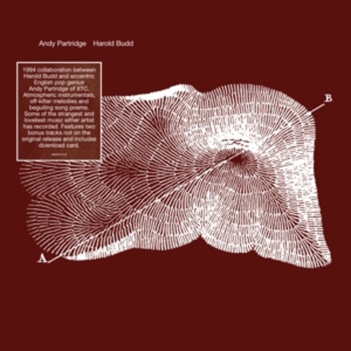Harold Budd & Andy Partridge – Through The Hill