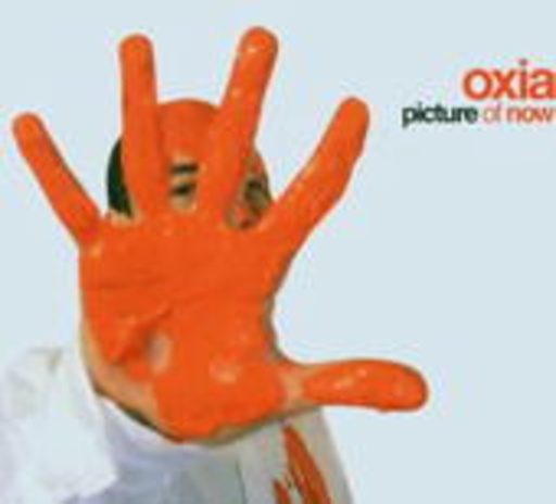 Diverse – Picture Of Now By Oxia