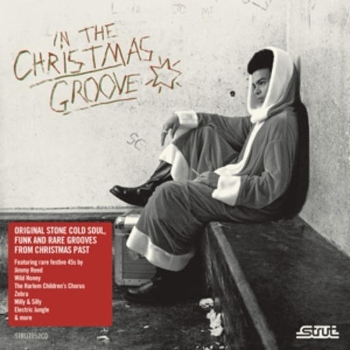 Diverse – In The Christmas Groove