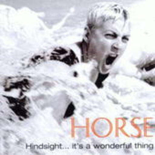 Horse – Hindsight... It's A Wonderful Thing