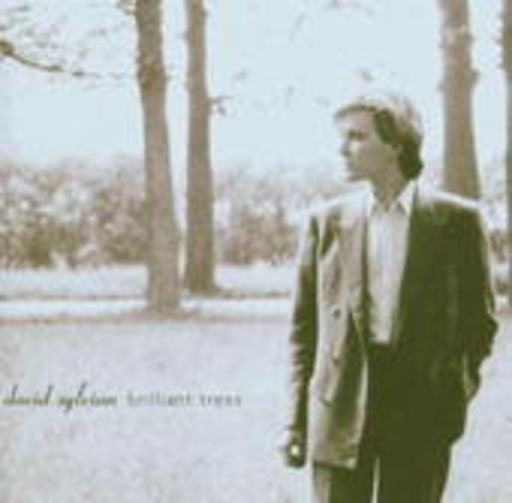 David Sylvain – Brilliant Trees