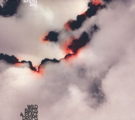 Wildbirds & Peacedrum – The Snake