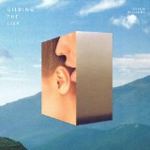 Devon Williams – Gilding The Lily