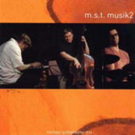 M.S.T. – Musik2