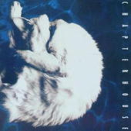 Chapterhouse – Whirlpool