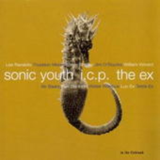 Sonic Youth & I.C.P. & The Ex – In The Fishtank