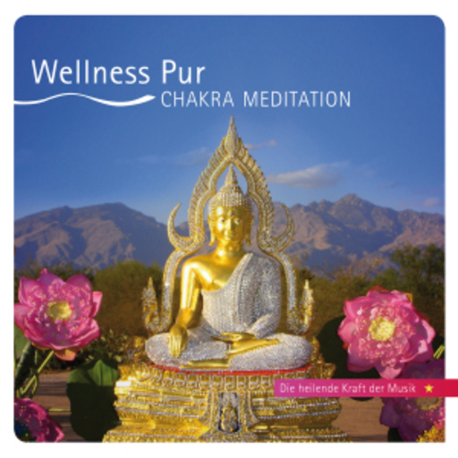 Diverse – Wellness Pur - Chakra Meditation