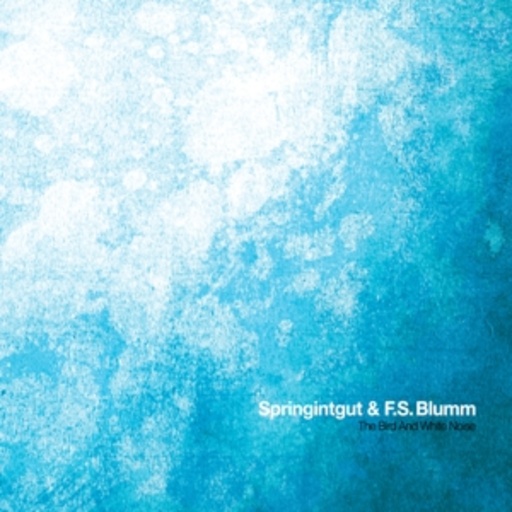 Springintgut & F.S. Blumm – The Bird And The White Noise