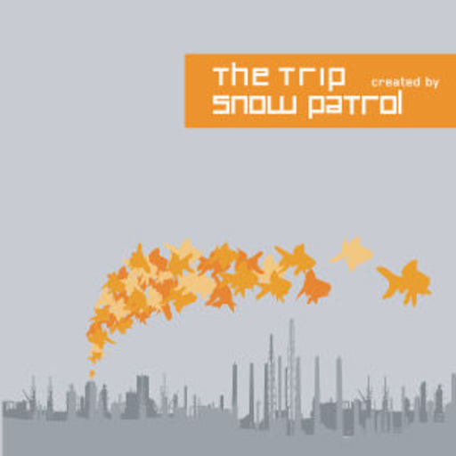 Diverse – The Trip - Created By Snow Patrol