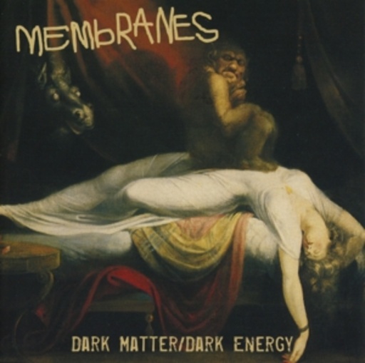 The Membranes – Dark Matter/Dark Energy