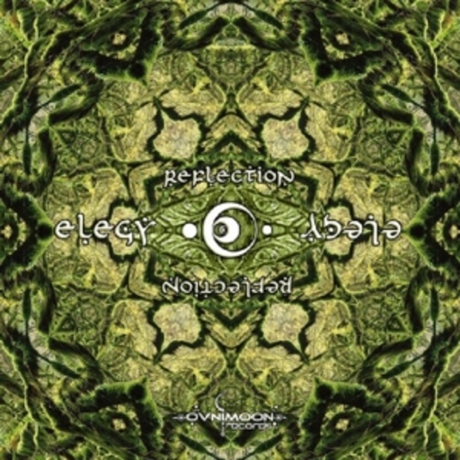 Elegy – Reflection