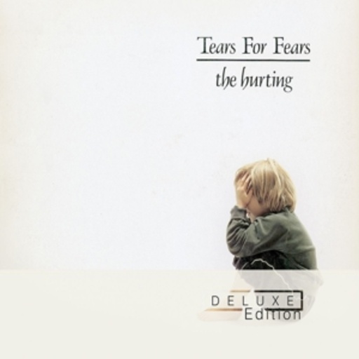 Tears For Fears – The Hurting