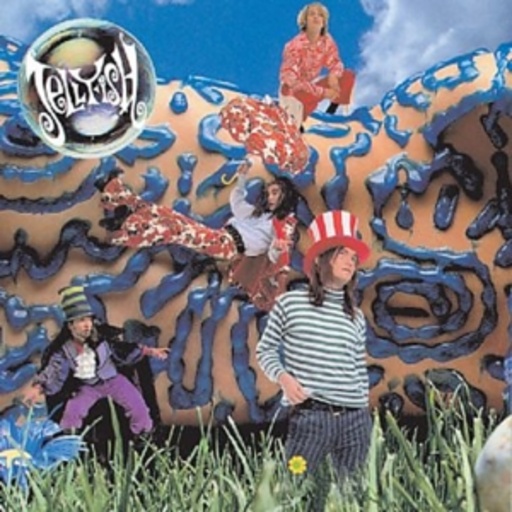 Jellyfish – Bellybutton