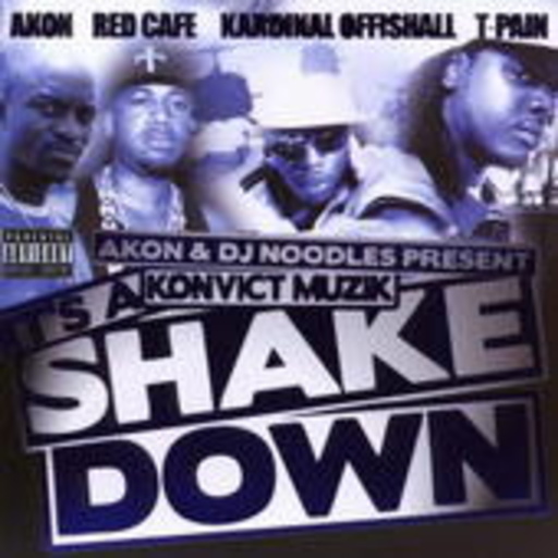 Akon & DJ Noodles – It's A Shakedown
