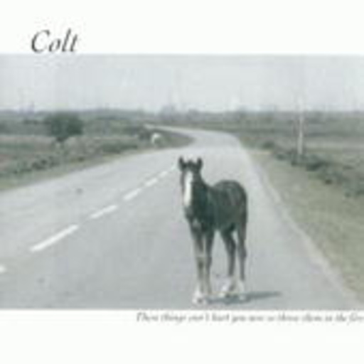 Colt – These Things Can't Hurt You Now So...