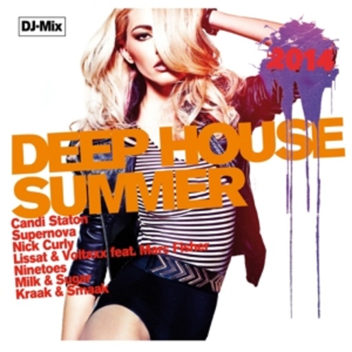 Diverse – Deep House Summer 2014