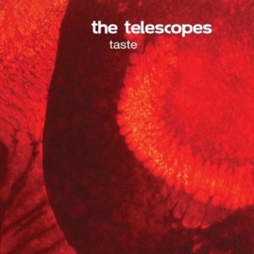 The Telescopes – Taste & The Perfect Needle EP