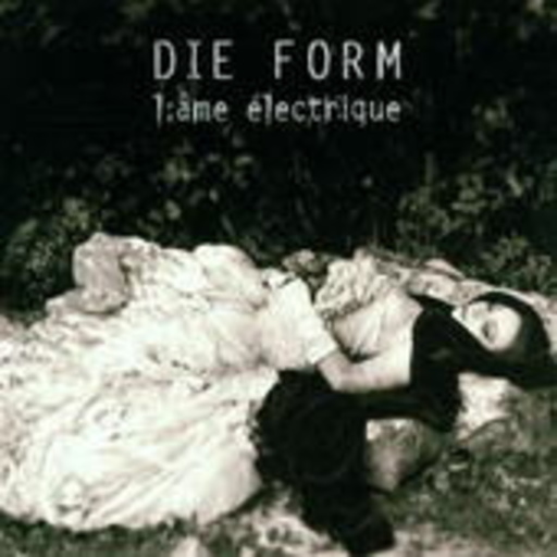 Die Form – L' Ame Electrique