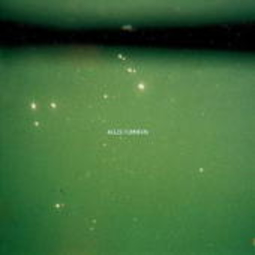 Klez.e – Flimmern