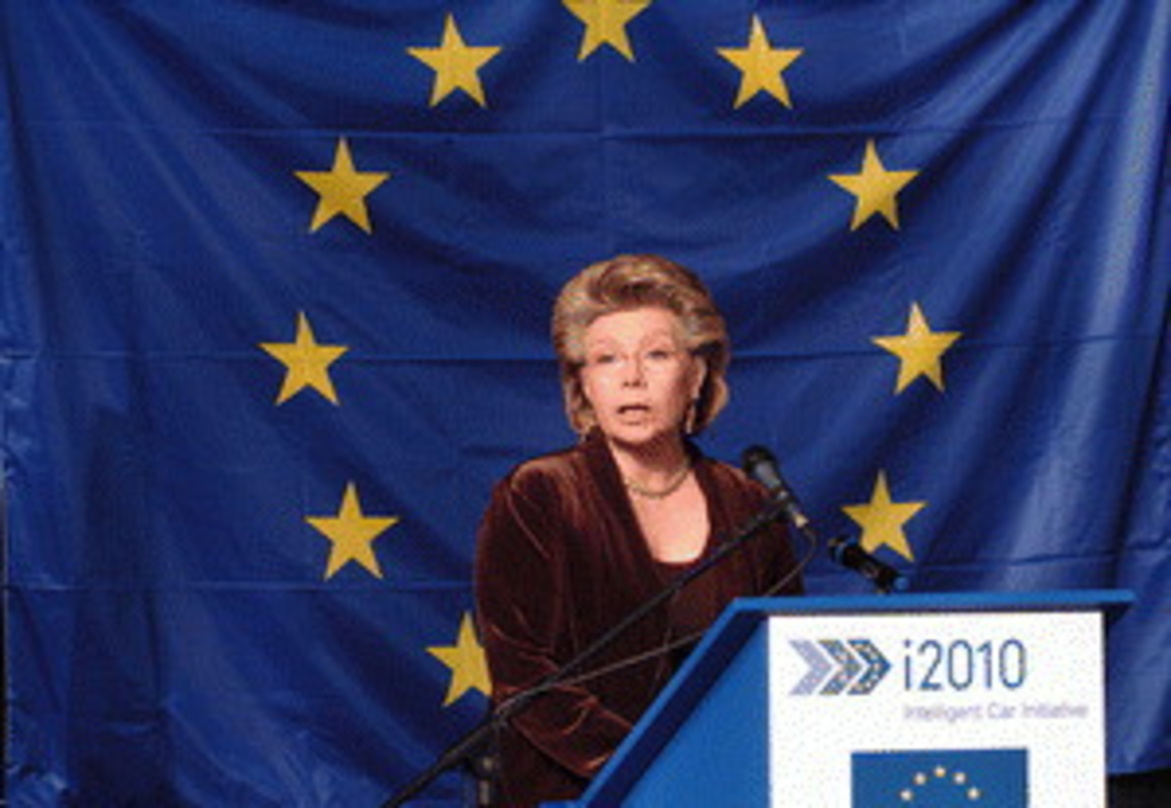 Will für Vorgaben sorgen: Viviane Reding