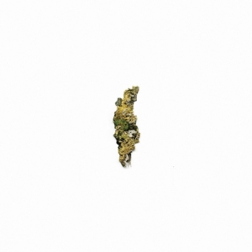 Diverse – Plangent Compilation Vol. 1