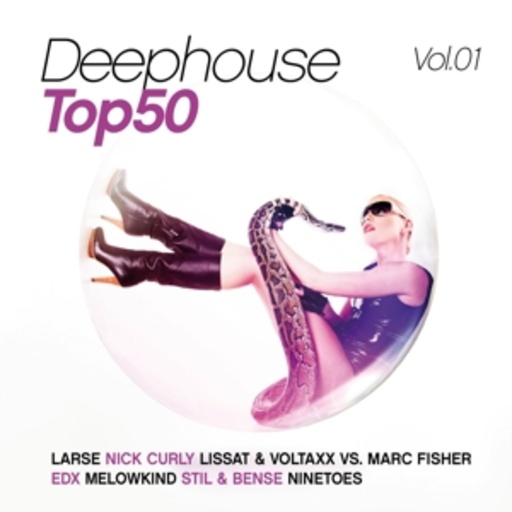 Diverse – Deephouse Top 50 Vol. 1