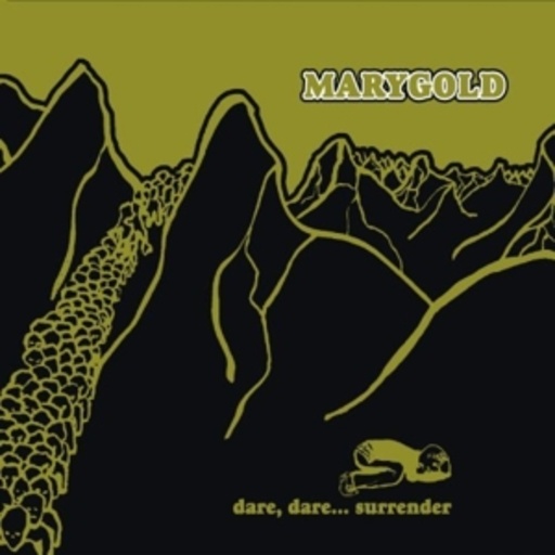 Marygold – Dare, Dare ... Surrender