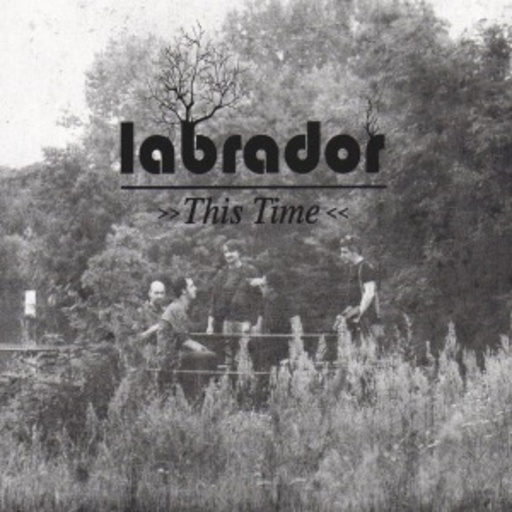 Labrador – This Time