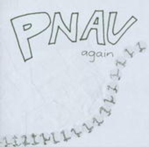 Pnau – Again