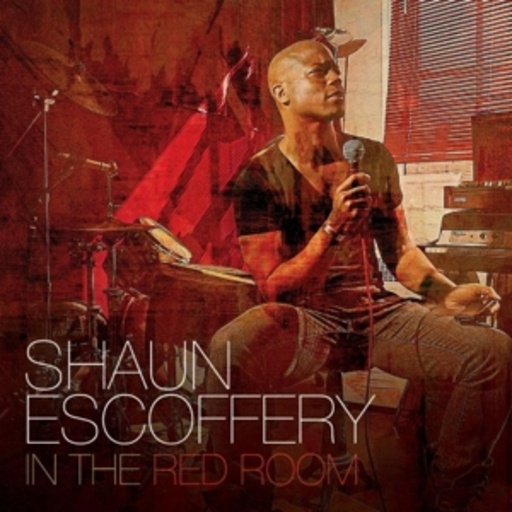 Shaun Escoffery – In The Red Room