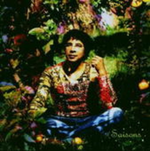 Laurent Voulzy – Saisons - Le Double Best Of