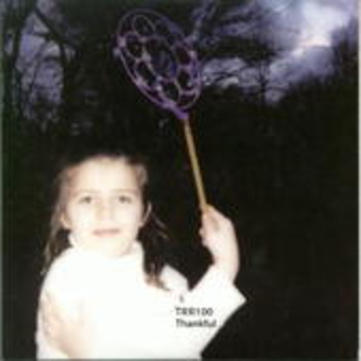 Diverse – Thankful - TRR100