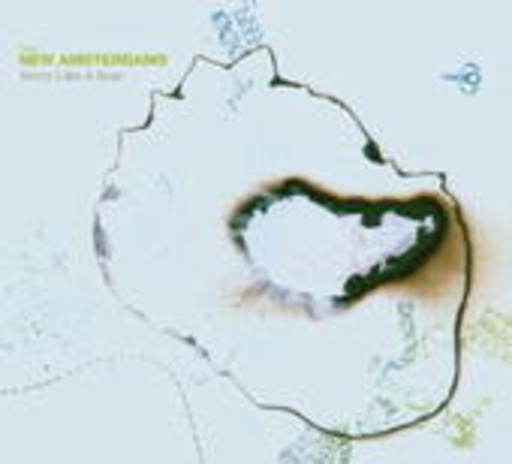 The New Amsterdams – Story Like A Scar