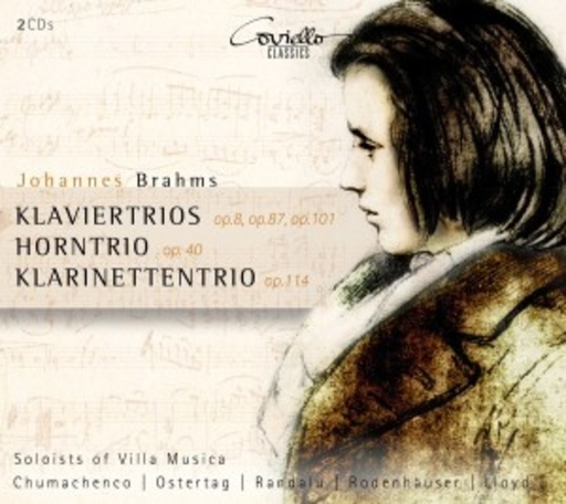 Solisten der Villa Musica – Klaviertrio/Horntrio/Klarinettentrio