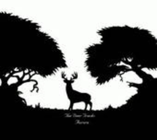 The Deer Tracks – Aurora